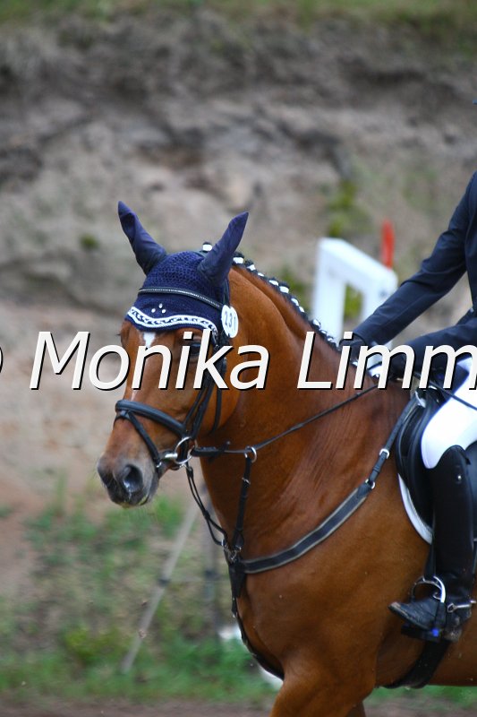 005L4881_Scalari_Spring  Ax.JPG